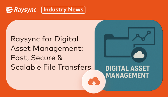 raysync-digital-asset-management