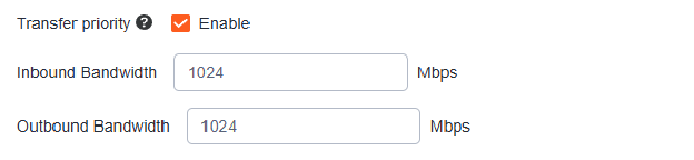 Raysync Admin Portal transfer settings screen