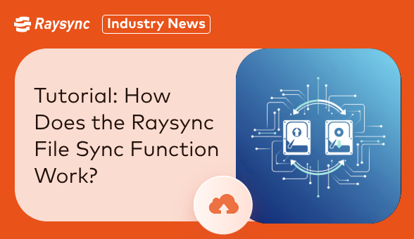 How to Sync Files Easily via the Raysync User Portal