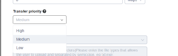 Raysync user role permission settings showing the Transfer Priority option with High, Medium and Low levels available for role-based bandwidth allocation.